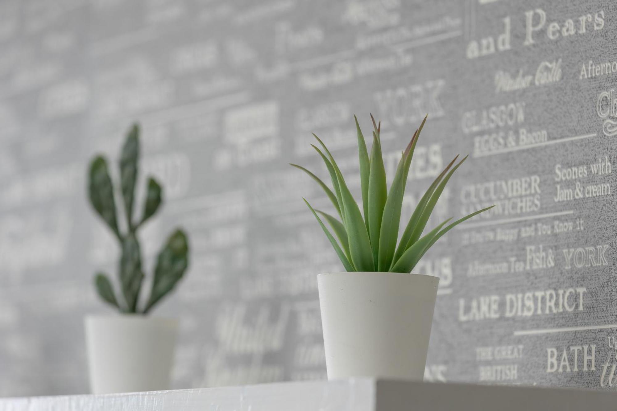 Minimalist One Bedroom In Near Wawel By Renters *